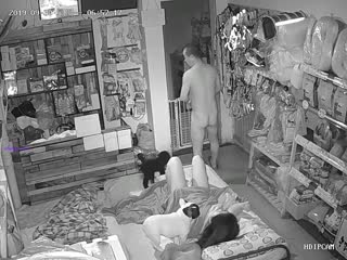十月新破解家庭网络摄像头偷拍宠物用品店夫妻在店里打地铺做爱几个小狗在旁边玩耍