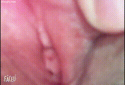最新抖音网红美女『玩具少女小草莓』大尺度性爱私拍流出 后入猛操 粉臀美乳 极致粉穴 完美尤物 高清720P版