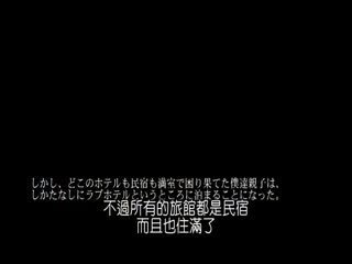 中文字幕GIGL408実録暴走アホ息子「母さん、犯罪ちゃうしSEXしよ！」<script src=